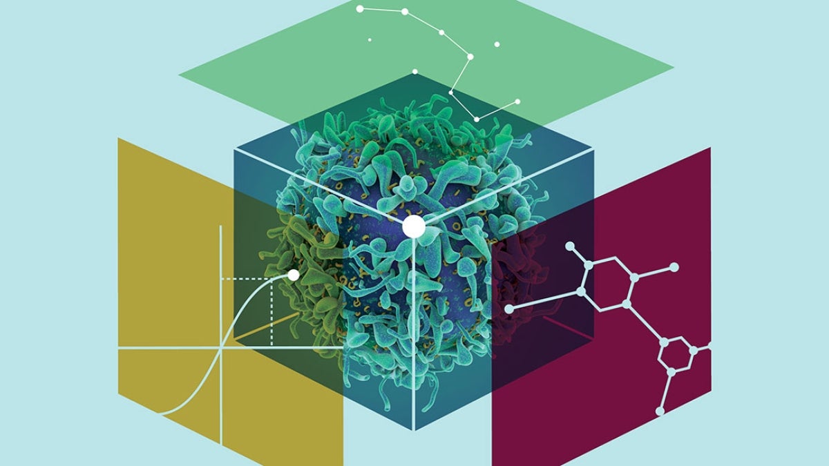 graphic of cancer cells in a cube