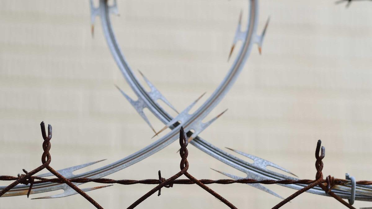 barbed wire