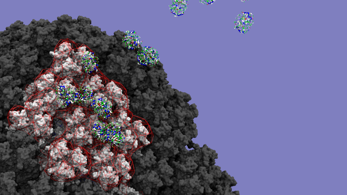 A cloud of platelet factor 4 proteins interacting with the electrostatic surface of the Oxford vaccine, as seen through a computational microscope 