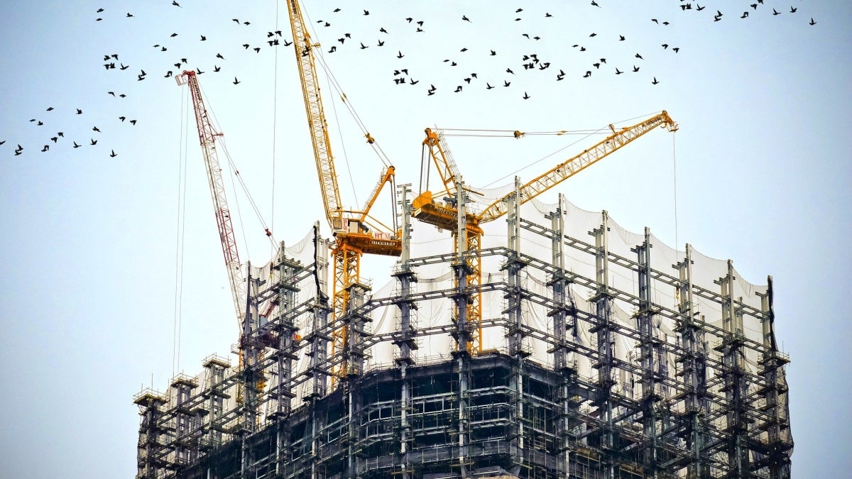 cranes and contruction