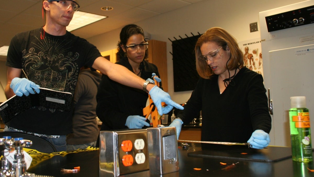 students working in lab