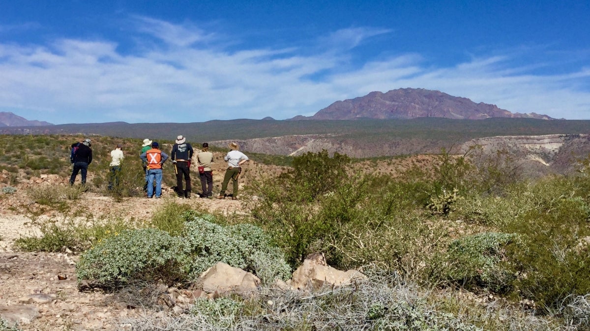 ASU Life Sciences Assistant Professor Greer Dolby and her colleagues