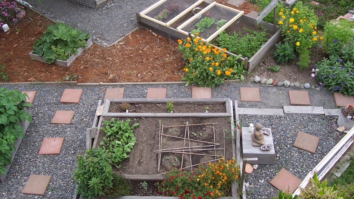 An urban garden