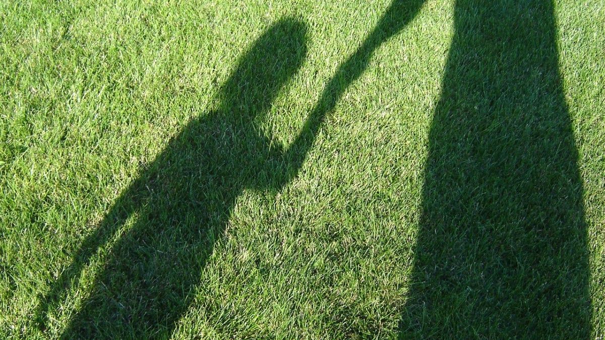 Shadows stalking some grass.