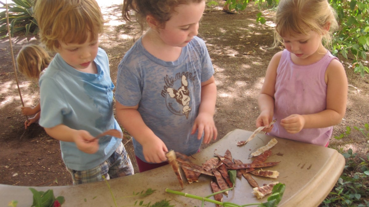 Children playing outdoors