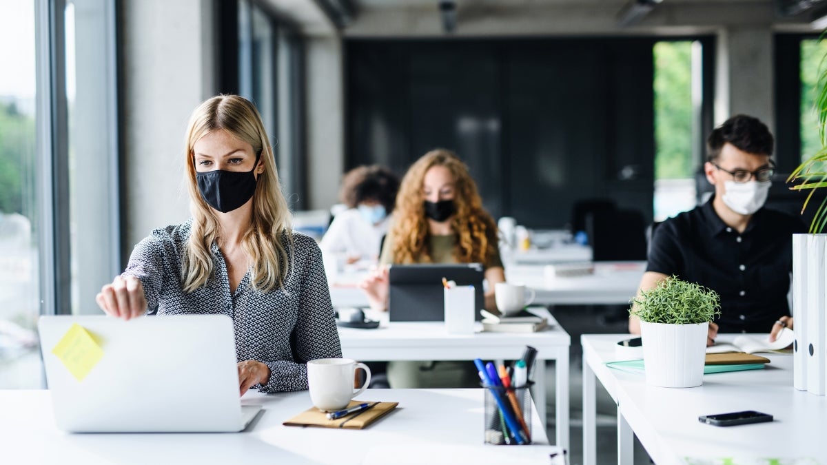 Office workers sitting at their computers