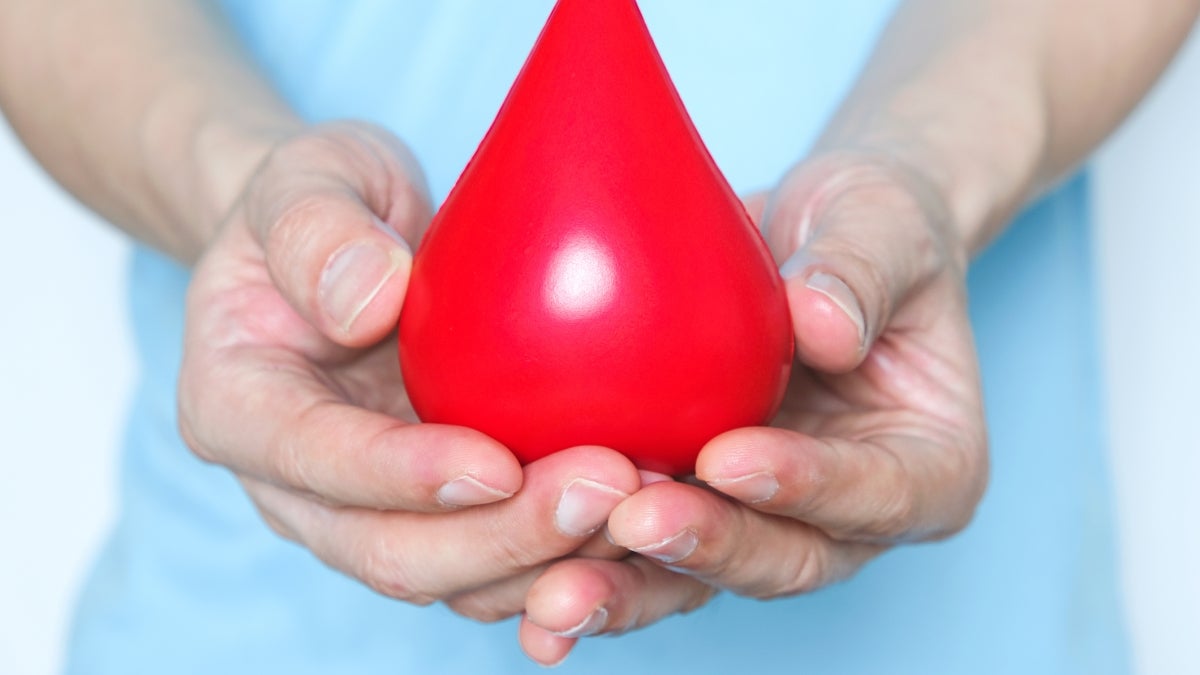 Hands holding blood drop model