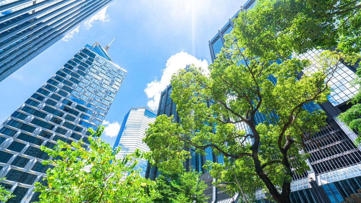 Highrises with trees in the foreground