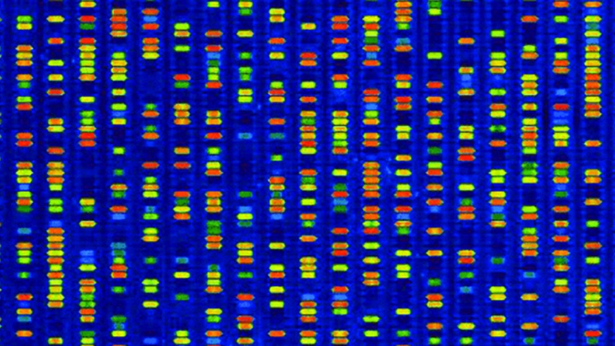 DNA microarray