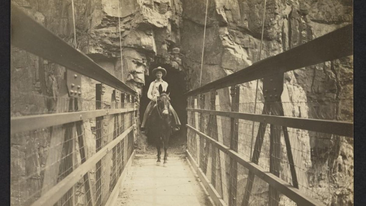 Mule and rider in Grand Canyon National Park