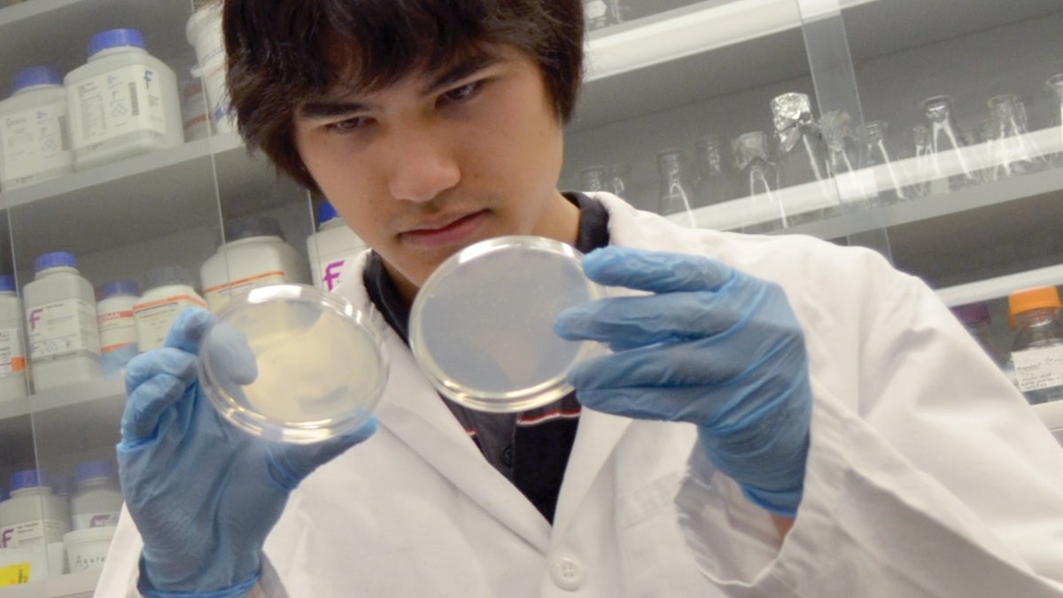 Ryan Muller in the lab preparing for the iGEM competition