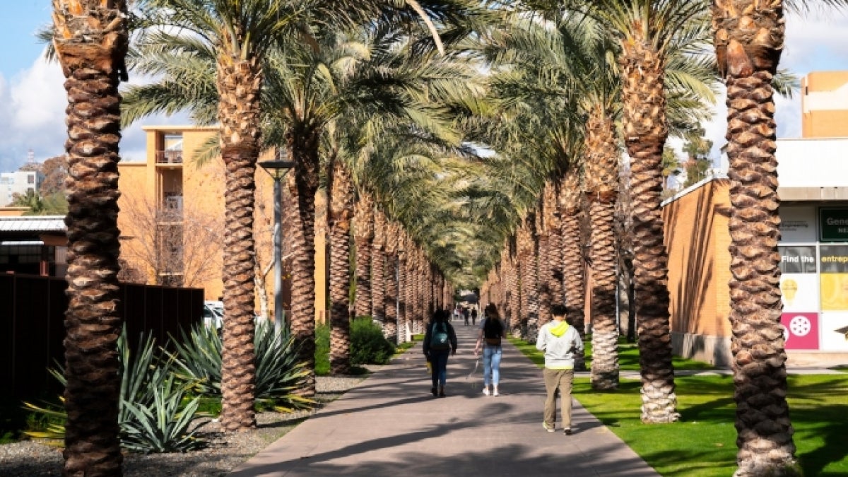 ASU Palm Walk