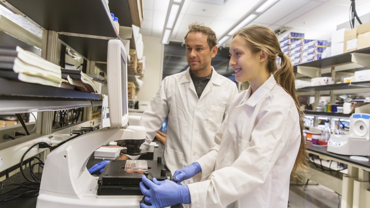 David Brafman Lab at Arizona State University