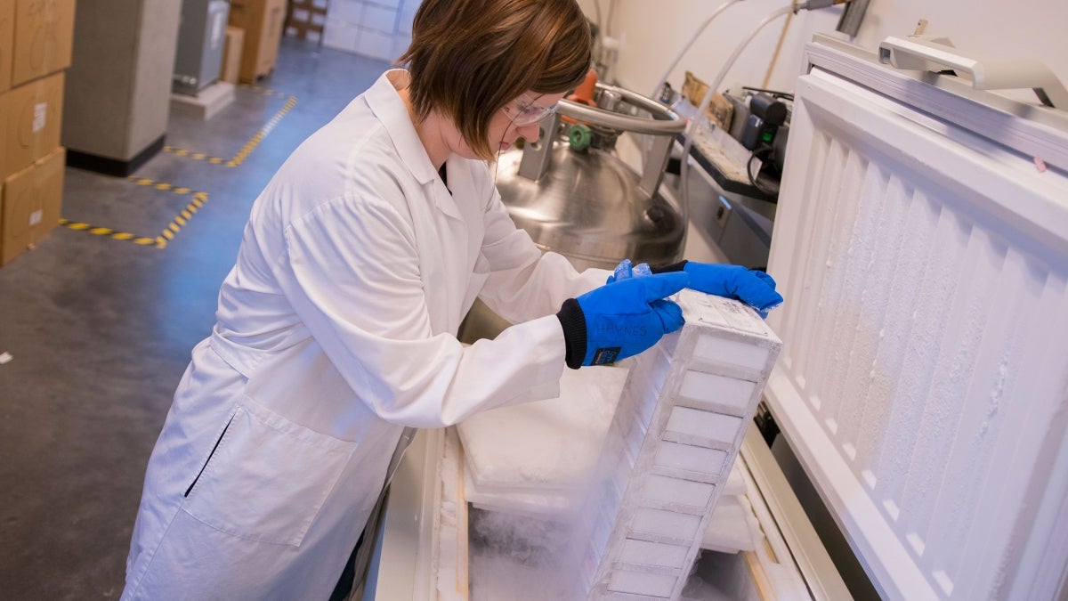 woman working in lab