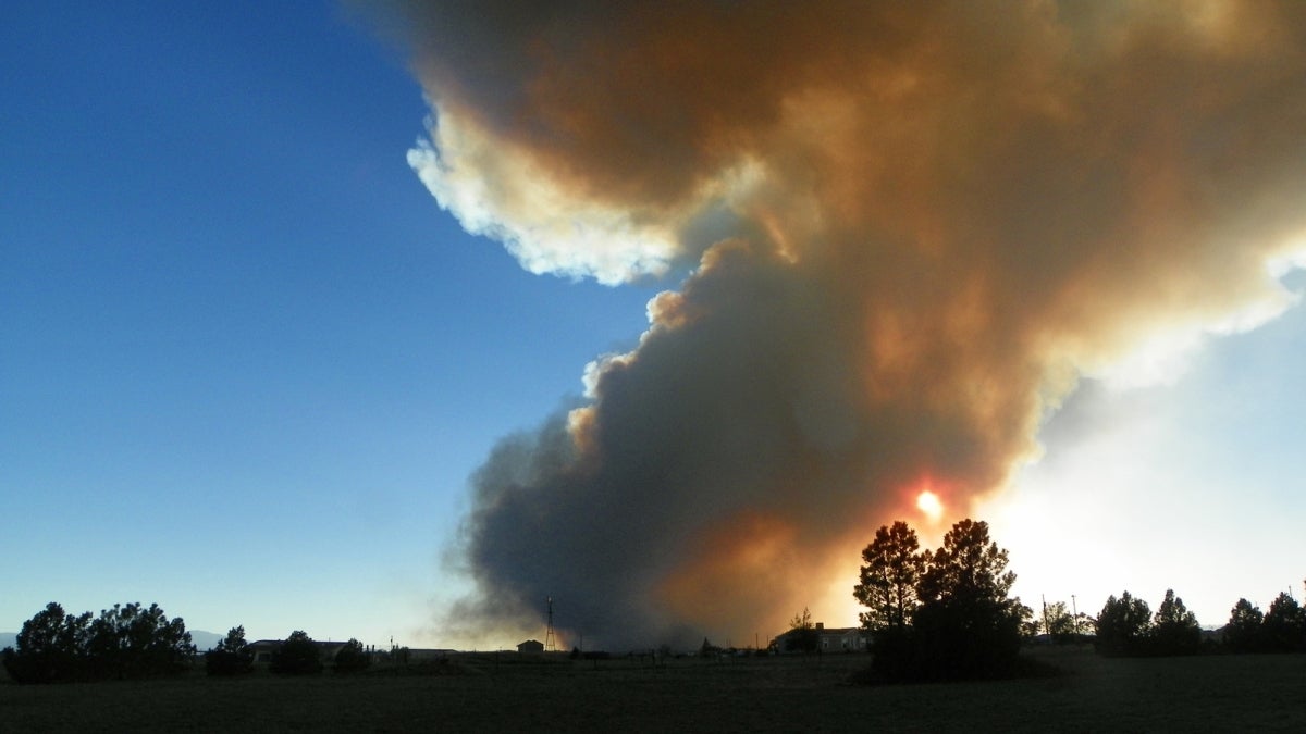 Forest fire burning.