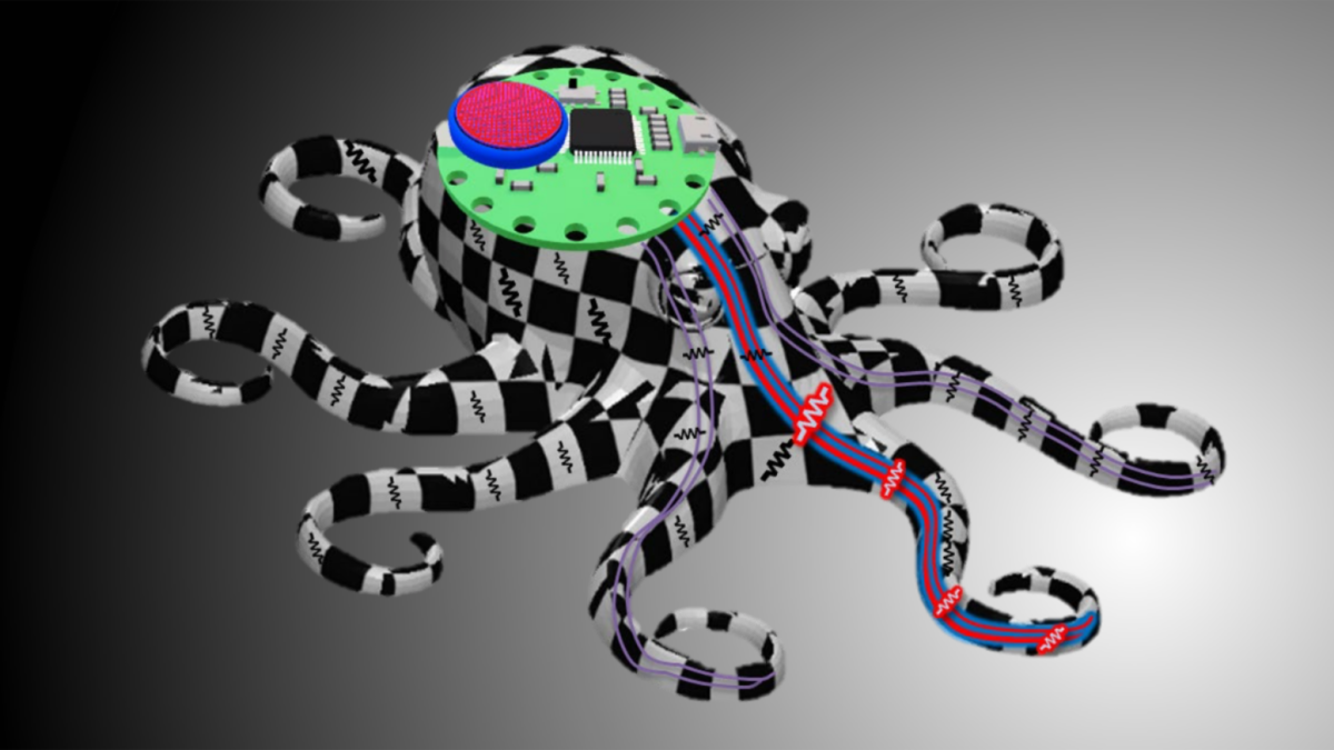 Soft robotics modeled on an octopus tentacle