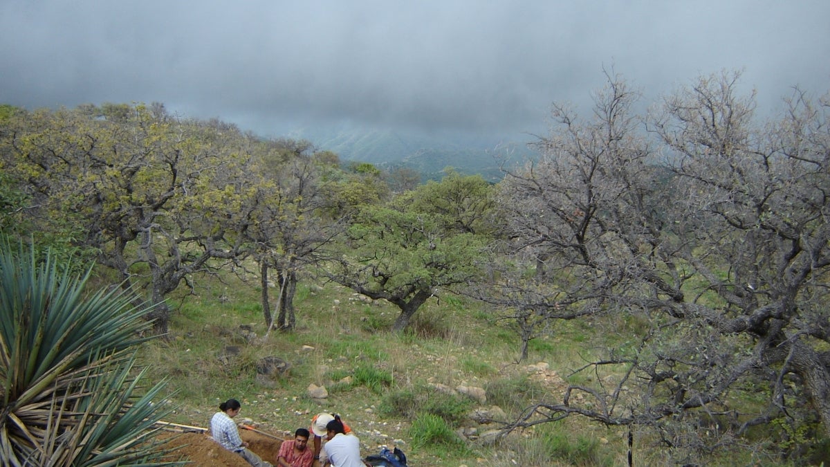 Sonoran rain