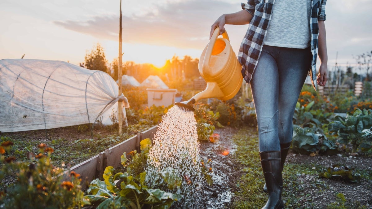 Woman watering plant