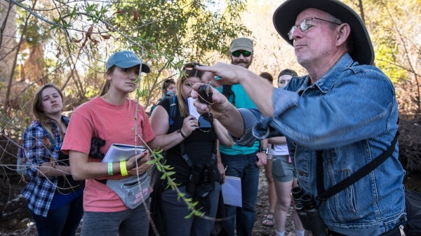 Prof Chew looks at new buds