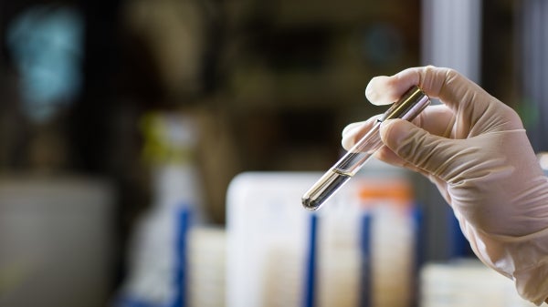 gloved hand holding a science tube