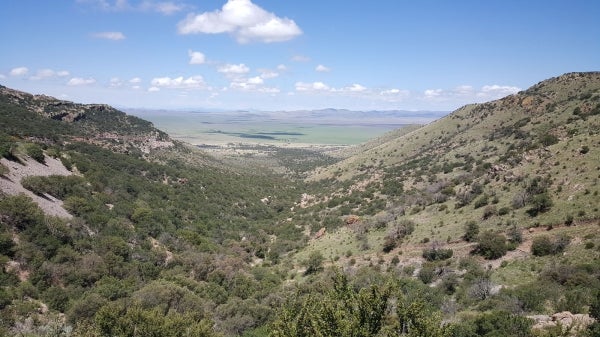 A view of the Rio Sonora basin in northern Mexico.