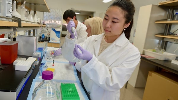 Undergraduate students work with a faculty mentor