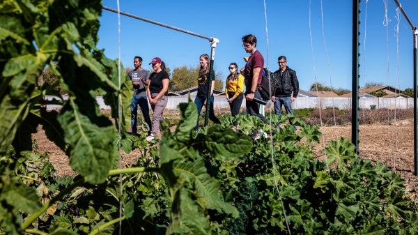 Students standing in an urban garden.