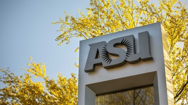 Palo verde blooms behind ASU sign