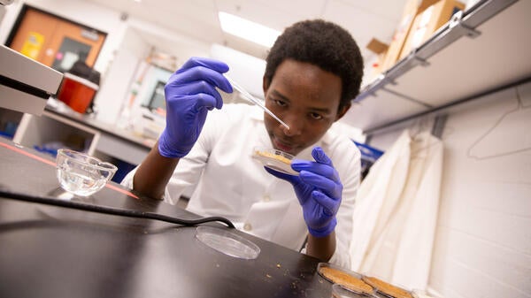 ASU student Henry Nakaana holding a petri dish and a dropper and wearing lab gear.