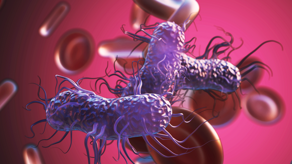 Digital rendering of the bacteria salmonella.