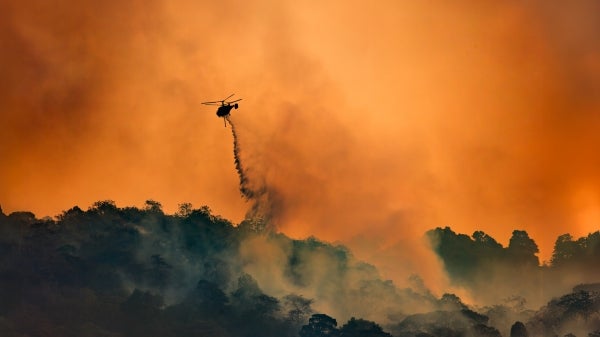 A helicopter douses a wildfire with water.