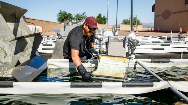 Researcher Everett Eustance inspects algae pool at wastewater facility.