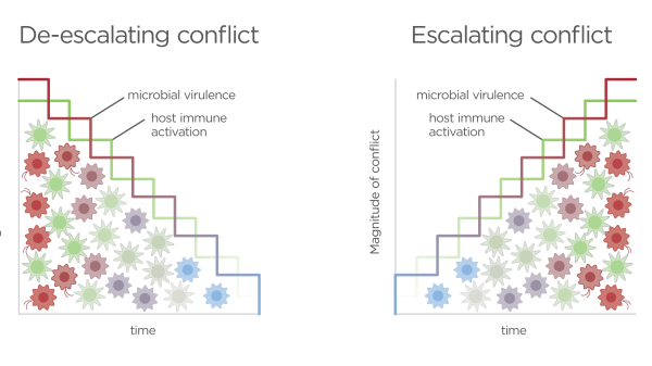 Gut microbes.