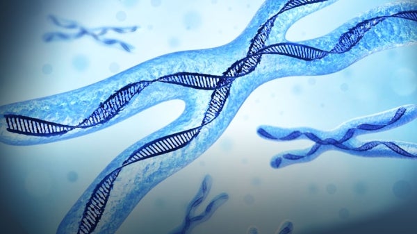 illustration of chromosomes