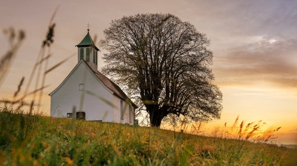 Church with a tree next to it.