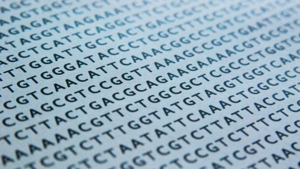 DNA sequence