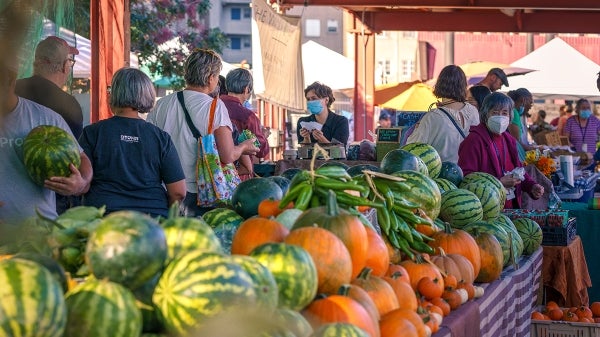 People shopping at farmers market