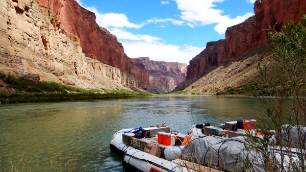 The Grand Canyon draws millions of visitors each year, but a trip with The College's Institute of Human Origins this summer gave visitors a chance to see the site alongside ASU experts.