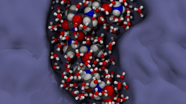 Model of water molecules interacting with protein