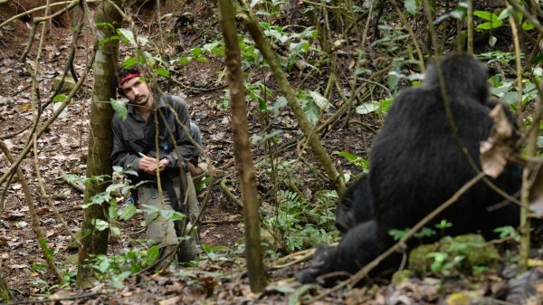 ASU graduate student Joel Bray observes chimpanzees in Tanzania.