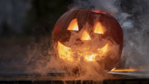 Jack-o'-lantern carved out for Halloween. 