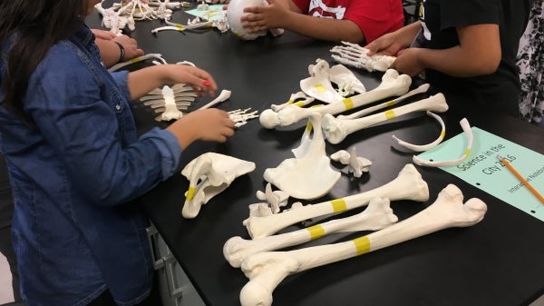 Eighth graders from PUHSD enjoy Science in the City activities at ASU's Downtown Phoenix campus