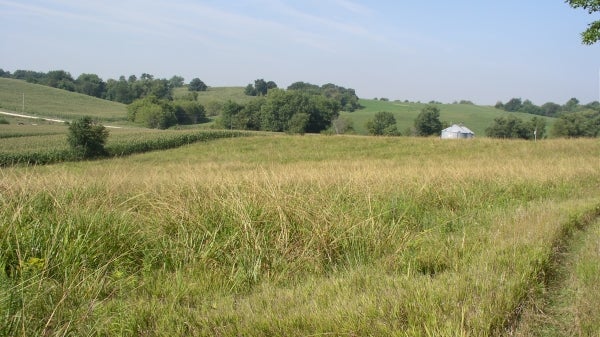 A farm in Jackson County, Iowa