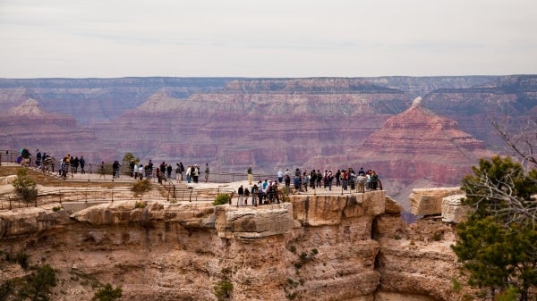 Canyon Tourists