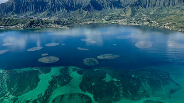 Kaneohe Bay in Hawaii