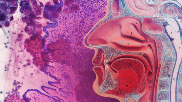 Graphic, abstract illustration of a human head in profile, surrounded by colors and shapes representing viruses and diseases.