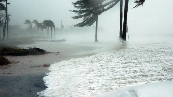 A beach is battered by forceful winds.