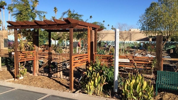 Mesa Urban Garden