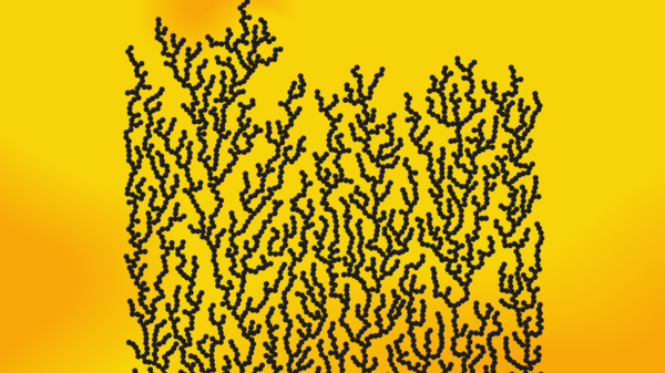 Dendrites are branching shapes that develop almost everywhere in nature