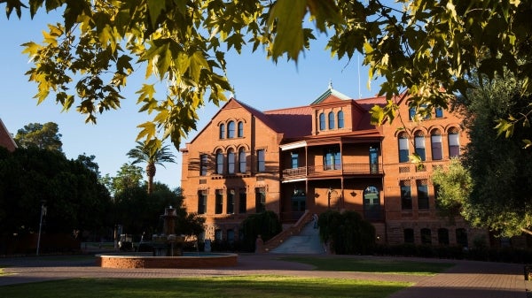 A red brick building is framed by green leaves and shadows.